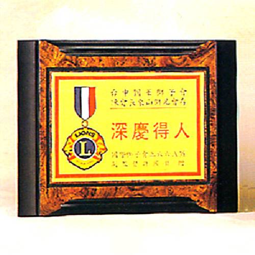 2009木質黃金獎牌