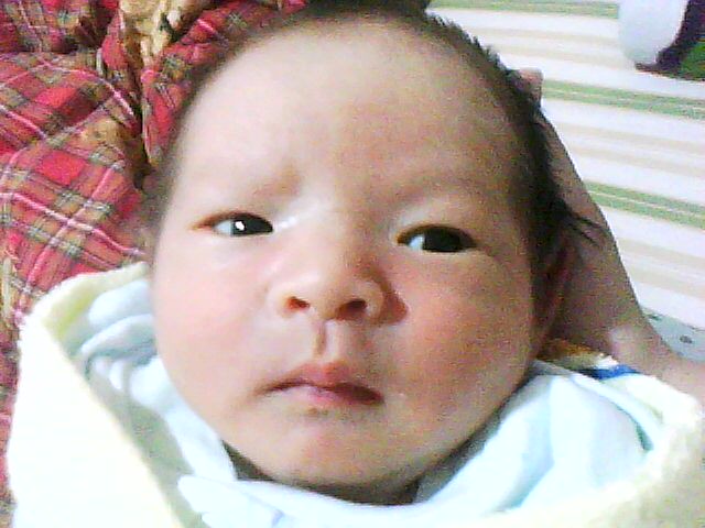 201101121301.jpg